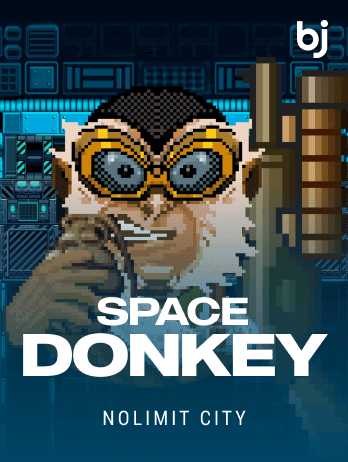 Space Donkey